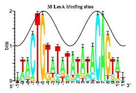 an example sequence logo